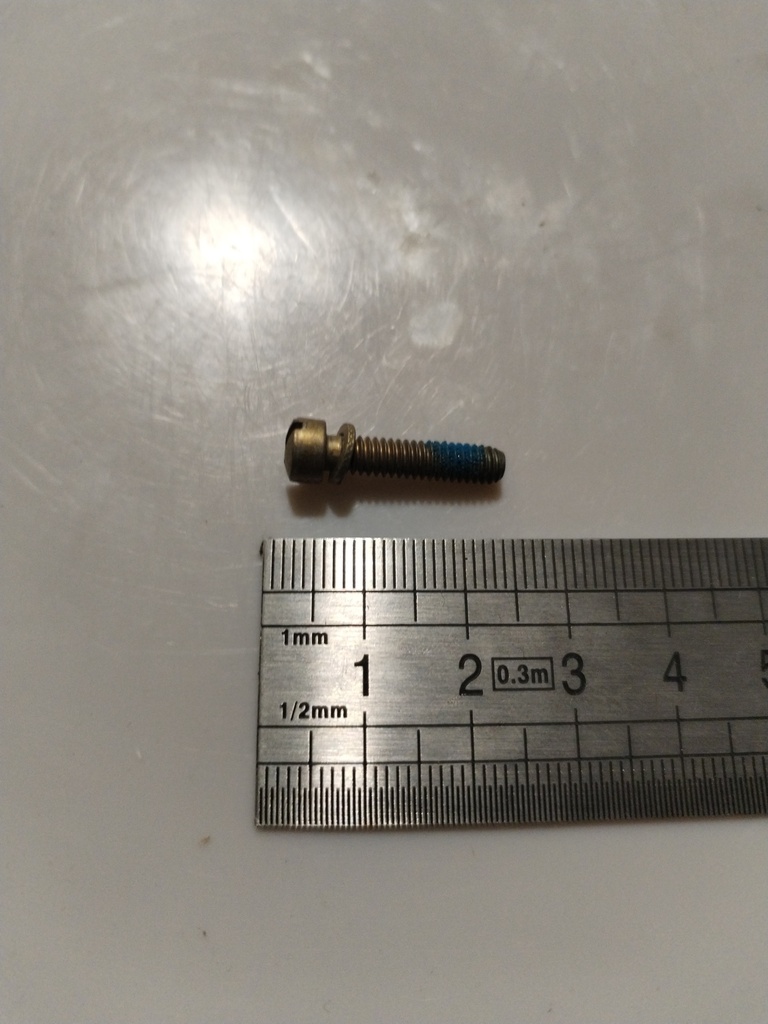 10-391213 -- VIS MAGNETO RG