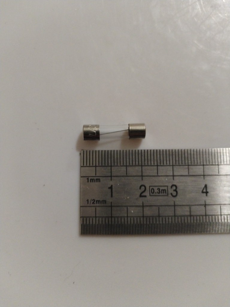69.11.21.010 -- Fusible rapide 10A 5X20*