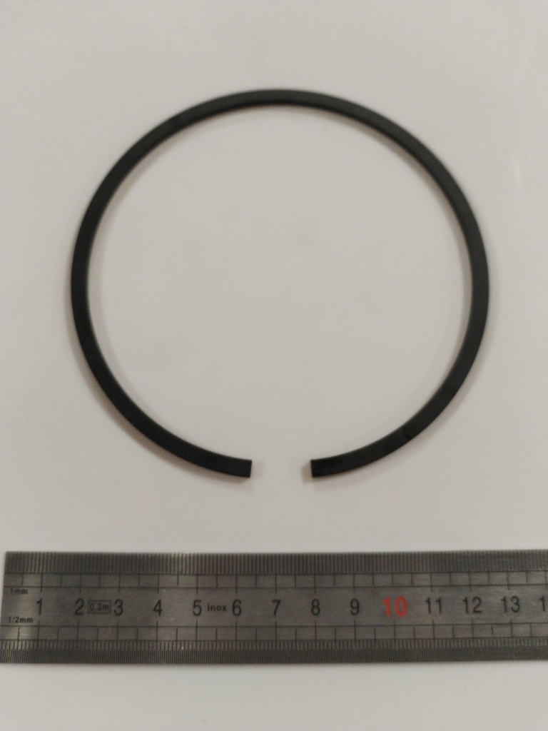648042 -- Ring piston
