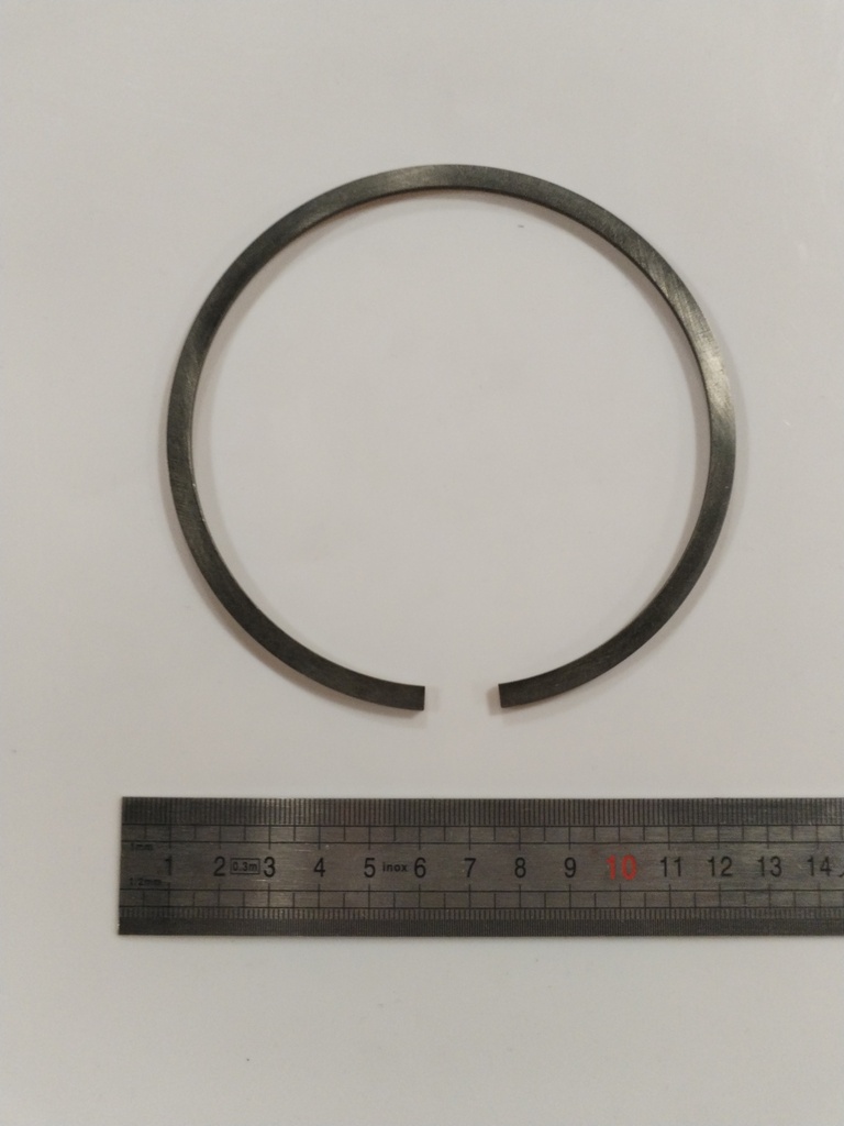 648039 -- Ring piston