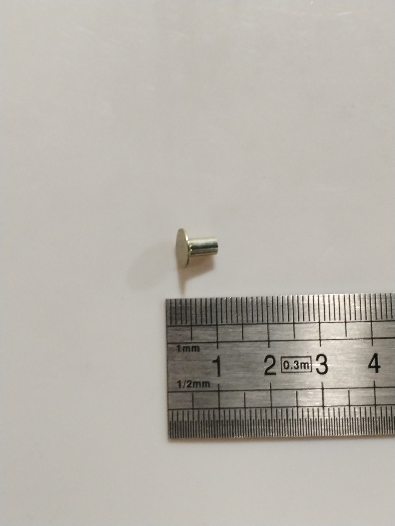 RA105-00200 -- Rivet pack