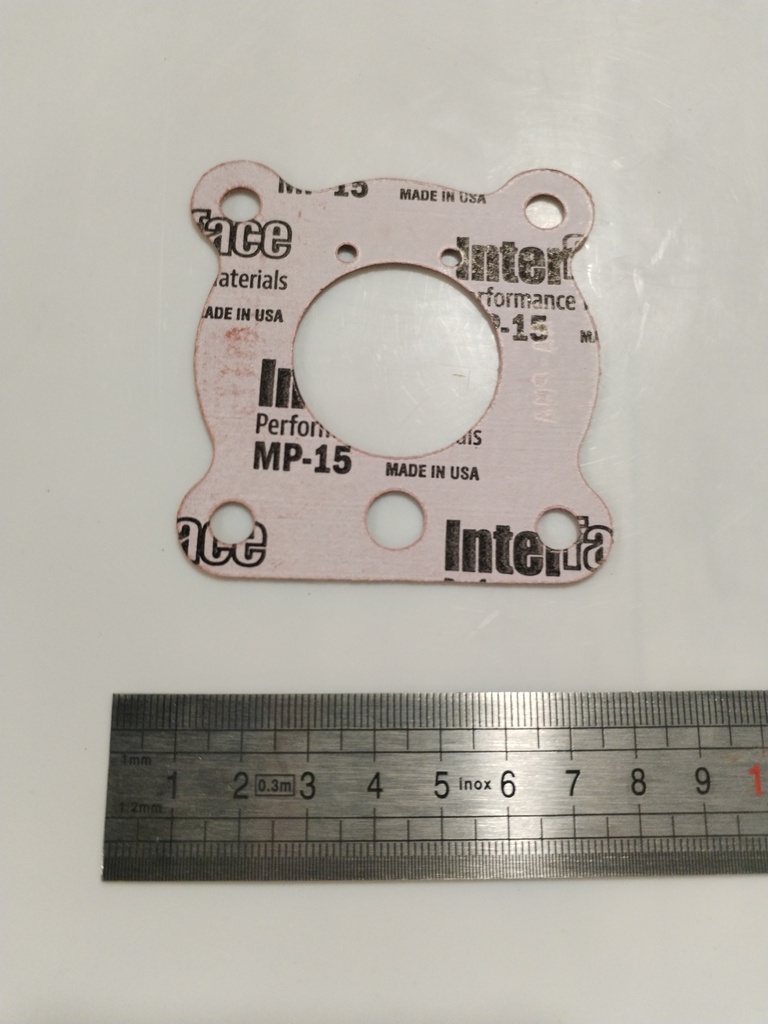 SL61173 -- Gasket