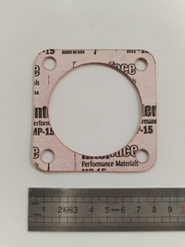 SL66224 gasket