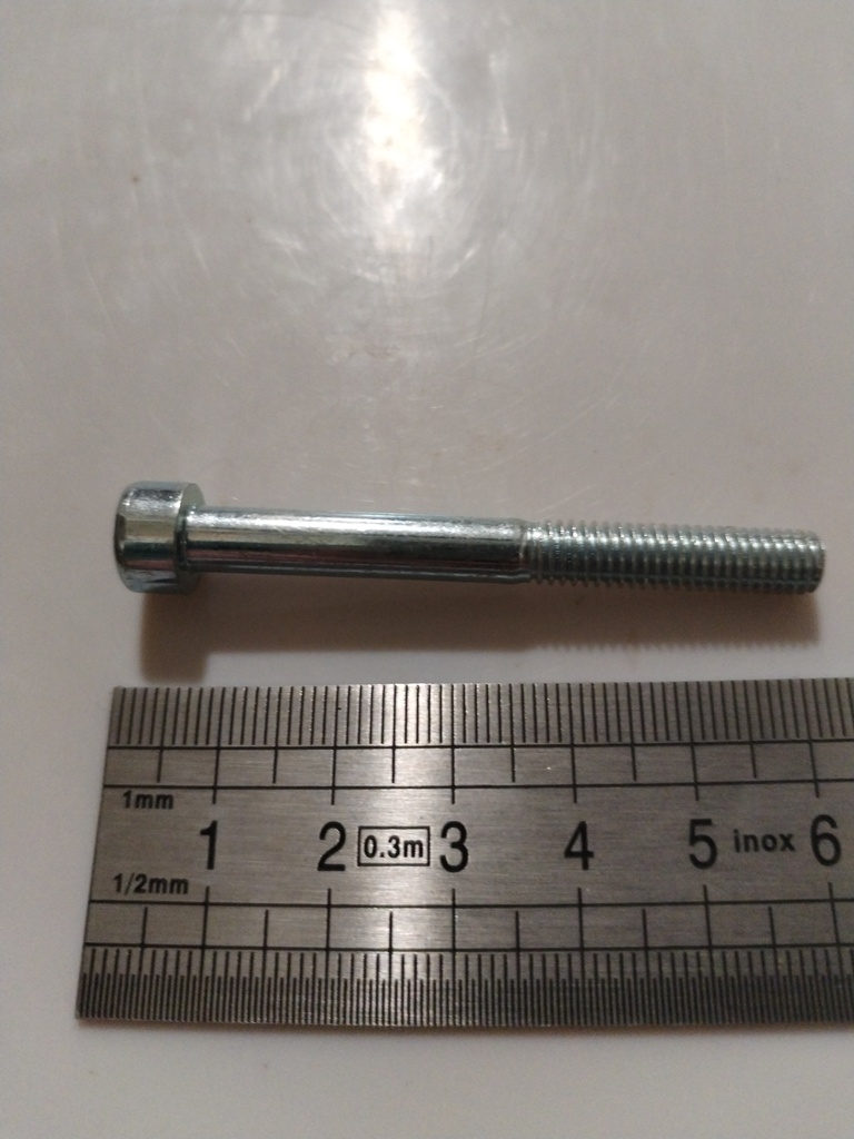 95.13.04.010 -- Vis BTR 6x55 singuée